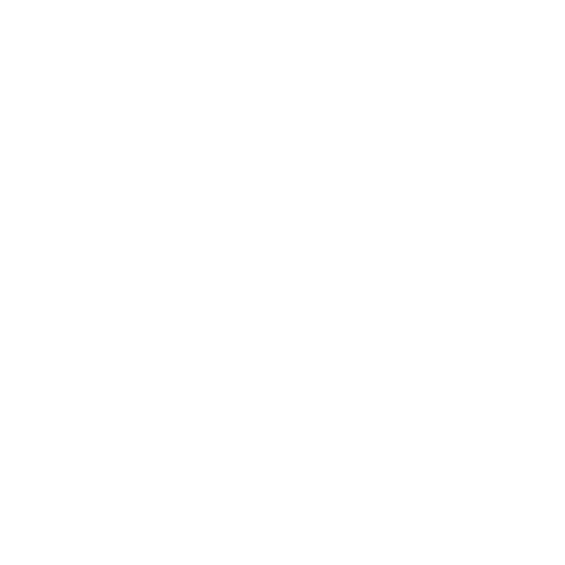 iconos-ian-2025-11-06T163408.371.png