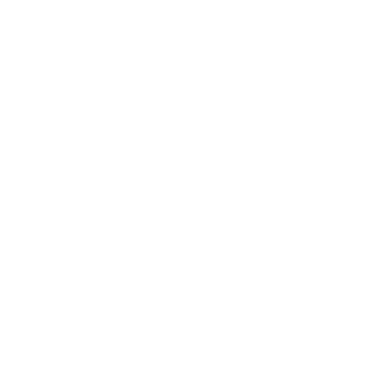 iconos-ian-2025-11-06T165307.416.png